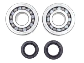 lozyska-walu-i-uszczelniacze-aprilia-silnik-piaggio-factory-mojito-custom