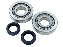 lozyska-walu-gilera-50-runner-dna-ice-typhoon-storm-piaggio-nrg-mc2-ac-lc