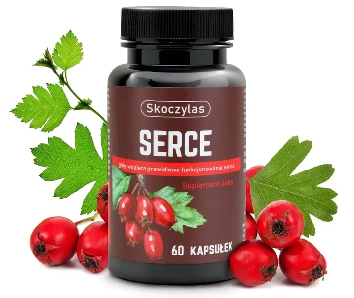 Skoczylas SERCE 60 kaps GŁÓG Układ KRĄŻENIA Prawidłowe funkcjonowanie SERCA