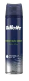 gillette-refreshing-breeze-shaving-foam-250ml
