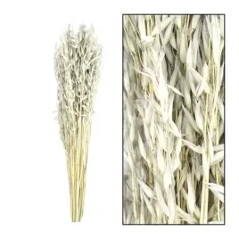 westwing-bukiet-avena-szary-60-cm