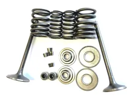 zestaw-zaworow-glowica-linhai-260-300-buyang-gtx-zawor-ssacy-wydechowy-kpl