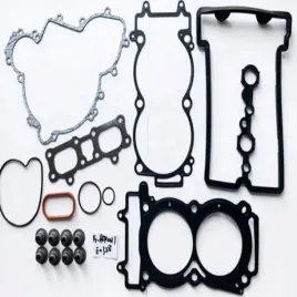 uszczelki-silnika-polaris-rzr-sportsman-1000-oem-808969-atv-utv-quad