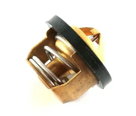 termostat-atv-200cc-zongshen-bashan