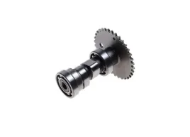 walek-rozrzadu-4t-gy6-wilga-romet-quest-vapor