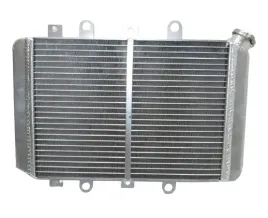 chlodnica-yamaha-grizzly-550-700-2012-2020