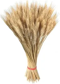 westwing-dekoracja-suszone-zboza-lev-5-x-100-x-60-cm