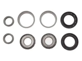 lozyskowanie-wahacz-tyl-atv-bashan-bs250s-5