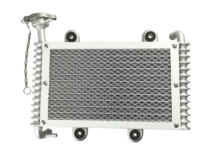 bashan-atv-200-250-loncin-eagle-lyda-chlodnica
