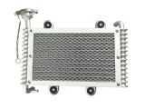 bashan-atv-200-250-loncin-eagle-lyda-chlodnica