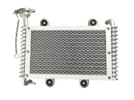 bashan-atv-200-250-loncin-eagle-lyda-chlodnica