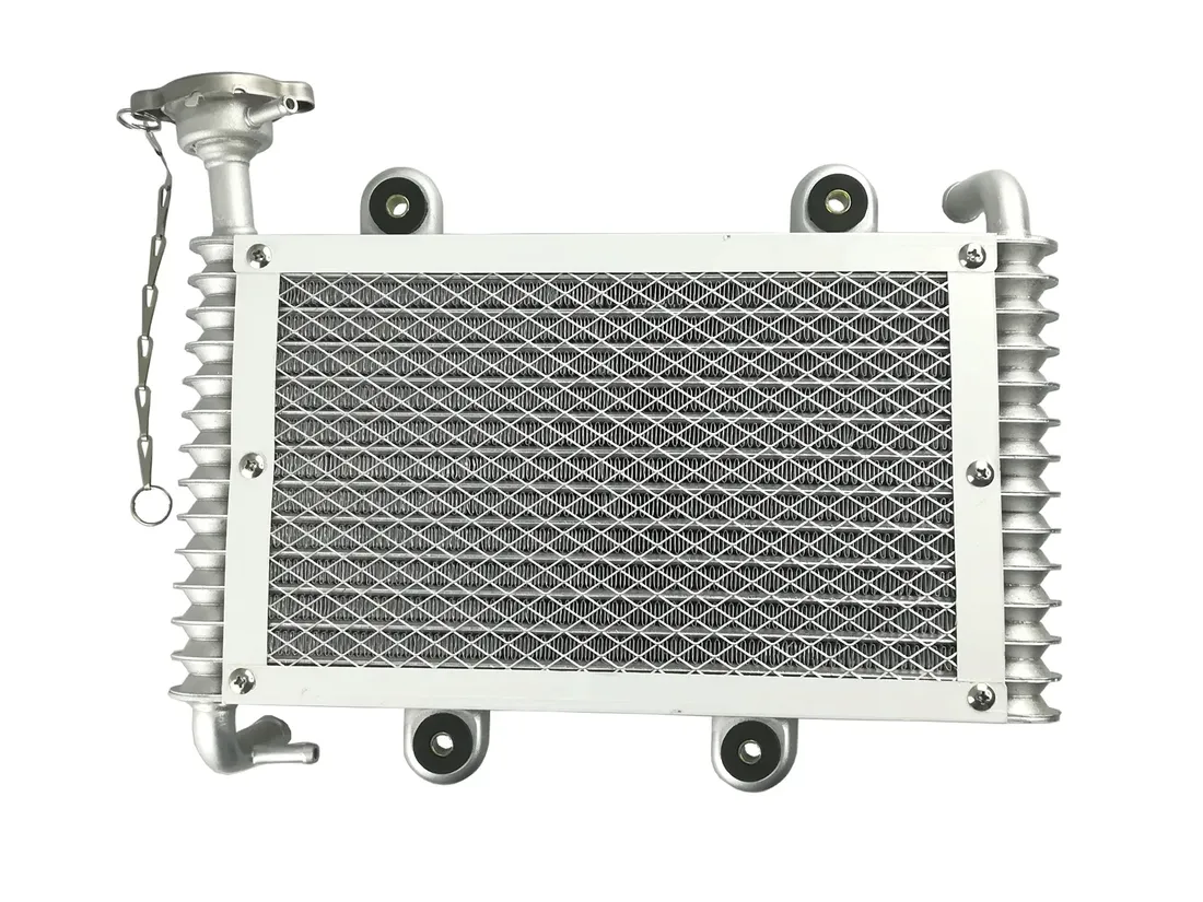bashan-atv-200-250-loncin-eagle-lyda-chlodnica