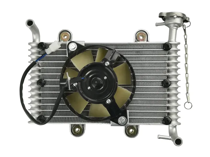 bashan-atv-200-250-loncin-eagle-lyda-chlodnica-stan-nowy