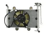 bashan-atv-200-250-loncin-eagle-lyda-chlodnica-stan-nowy