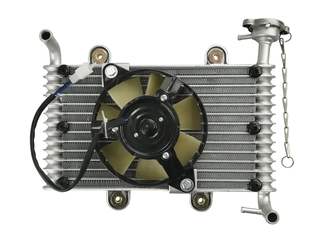 bashan-atv-200-250-loncin-eagle-lyda-chlodnica-stan-nowy