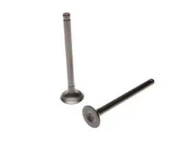 zawor-wydechowy-ssacy-4t-50-cc