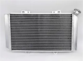 chlodnica-yamaha-grizzly-660-02-08-5km-12461-00-00