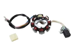 aparat-zaplonowy-stator-atv-bashan-200-roy