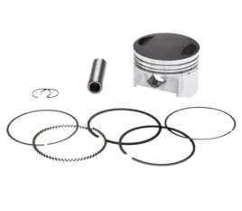 6700-16-24-tlok-atv-250-st-9e-bashan