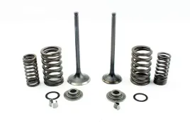 zawory-silnika-kpl-zs169-fmm-cross-cb250-loncin-zongshen-bashan
