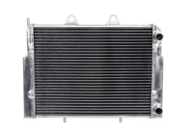 chlodnica-polaris-rzr-570-800-sportsman-ace-325-570-1240319-1240444-atv