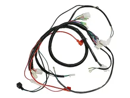 instalacja-wiazka-elektryczna-atv-150-200-gy-diablo-fuxin-bashan