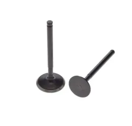 zawor-ssacy-wydechowy-silnik-yx160-kpl-pit-bike-pitbike-mrf-kayo-kxd
