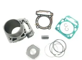 cylinder-odes-1000-tylny-tyl-kompletny-21050401201-kit