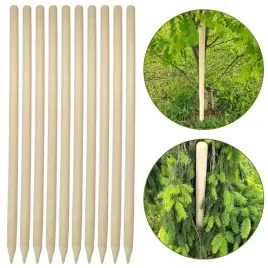 palik-drewniany-250-cm-kij-tyczka-gruba-do-podpierania-katalpy-10-szt