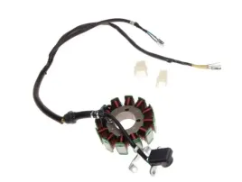 stator-iskrownik-12-cewek-atv-250-st-9e-shineray-zongshen