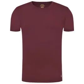 t-shirt-polo-ralph-lauren-core-replen-714830304030