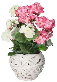 pelargonia-w-doniczce-sztuczne-kwiaty-jak-zywe