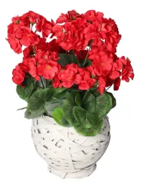 pelargonia-w-doniczce-sztuczne-kwiaty-jak-zywe