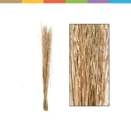 westwing-bukiet-saras-galazka-saras-brassica-juncea-110-cm