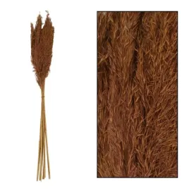 westwing-bukiet-susz-trawa-trzcina-braz-75-cm-10-sztuk-naszita
