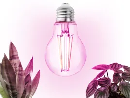 zarowka-led-do-uprawy-wzrostu-doswietlania-roslin-e27-8w-1200k-360