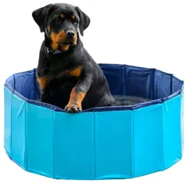 basen-dla-psa-80x30cm-niebieski-skladany-idealny-na-lato-i-caly-rok