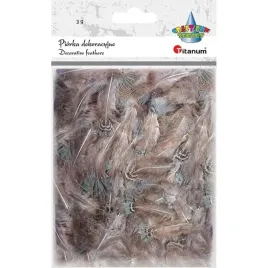 piorka-craft-fun-series-3g-brazowy-438841-titanum-titanum