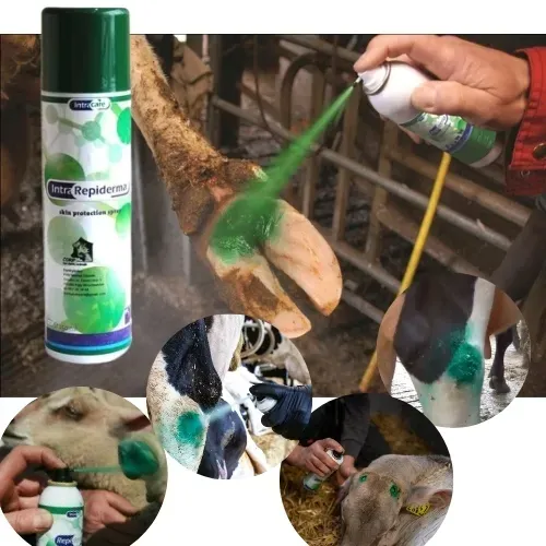 repiderma-spray-do-kopyt-250-ml-waga-z-opakowaniem-0-225-kg