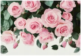 fototapeta-kwiaty-roze-rozowe-wiszace-na-sciane-sypialnia-salon-150x105
