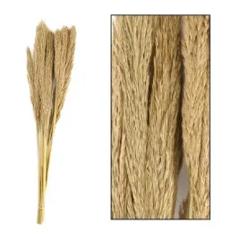 westwing-trawa-pampasowa-puszysta-75-cm-10-szt-kopenhamn