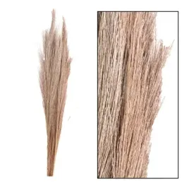 westwing-suszona-trawa-wiazka-mariano-ok-100-cm
