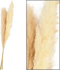 westwing-trawy-pampasowe-dijk-kremowe-115-x-14-x-9-cm-3-sztuki