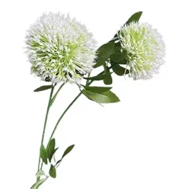 westwing-galazka-dzikiego-czosnku-biala-64-cm