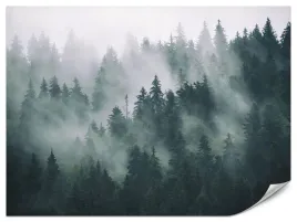 fototapeta-do-salonu-sypialni-las-we-mgle-krajobraz-pejzaz-natura-450x300