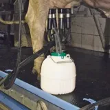 separator-do-mleka-12-litrow-gewa-stan-nowy