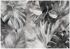 fototapeta-liscie-monstera-czarno-bialy-na-sciane-sypialnia-salon-250x175