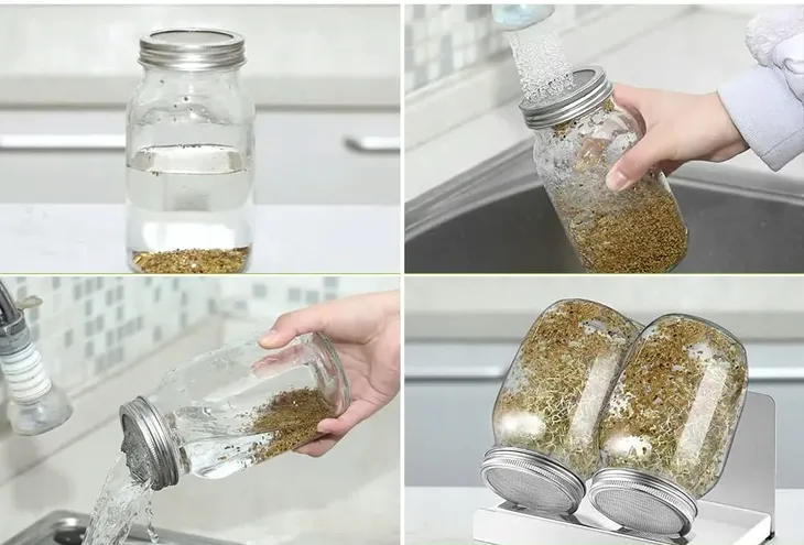 2x-kielkownica-sloikowa-kielkownik-sloik-do-kielkow-naczynie-nasiona-kielki-wysokosc-produktu-17-5-cm