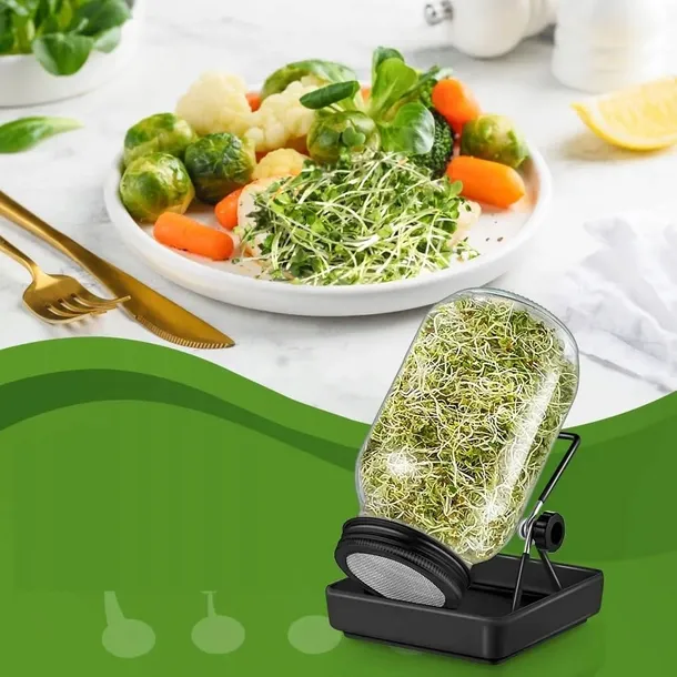 2x-kielkownica-sloikowa-kielkownik-sloik-do-kielkow-naczynie-nasiona-kielki-szerokosc-produktu-22-cm