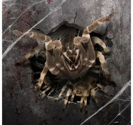 naklejka-scienna-dekoracyjna-pajak-dziura-16x16-cm-dekoracja-halloween